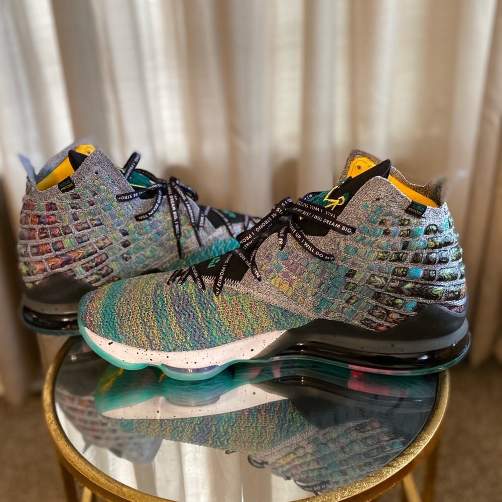 NWOB Lebron 17